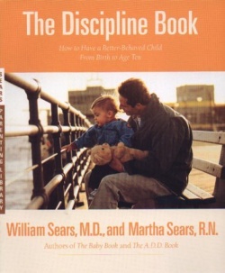 The Discipline Book